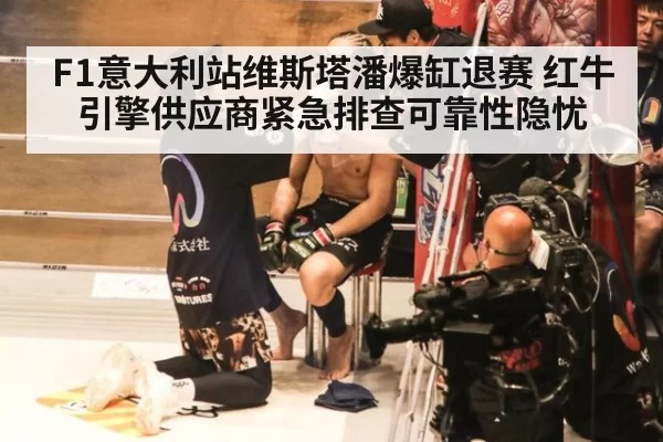 F1意大利站维斯塔潘爆缸退赛 红牛引擎供应商紧急排查可靠性隐忧（bsport）